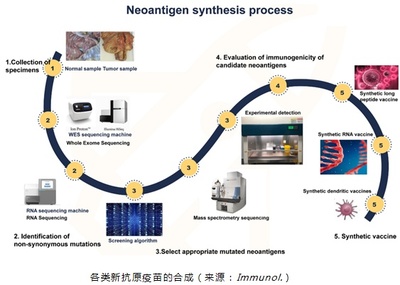 新合生物丨基于AI+mRNA技術(shù)開發(fā)腫瘤新抗原疫苗