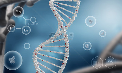 DNA分子高科技DNA分子的生物化學(xué)背景